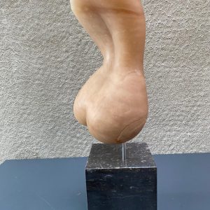 Angelo Moyano - Torso champagne marmer - Afbeelding 1